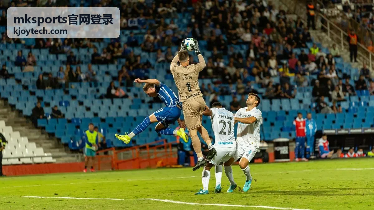 mksports官网登录平台入口说明封面